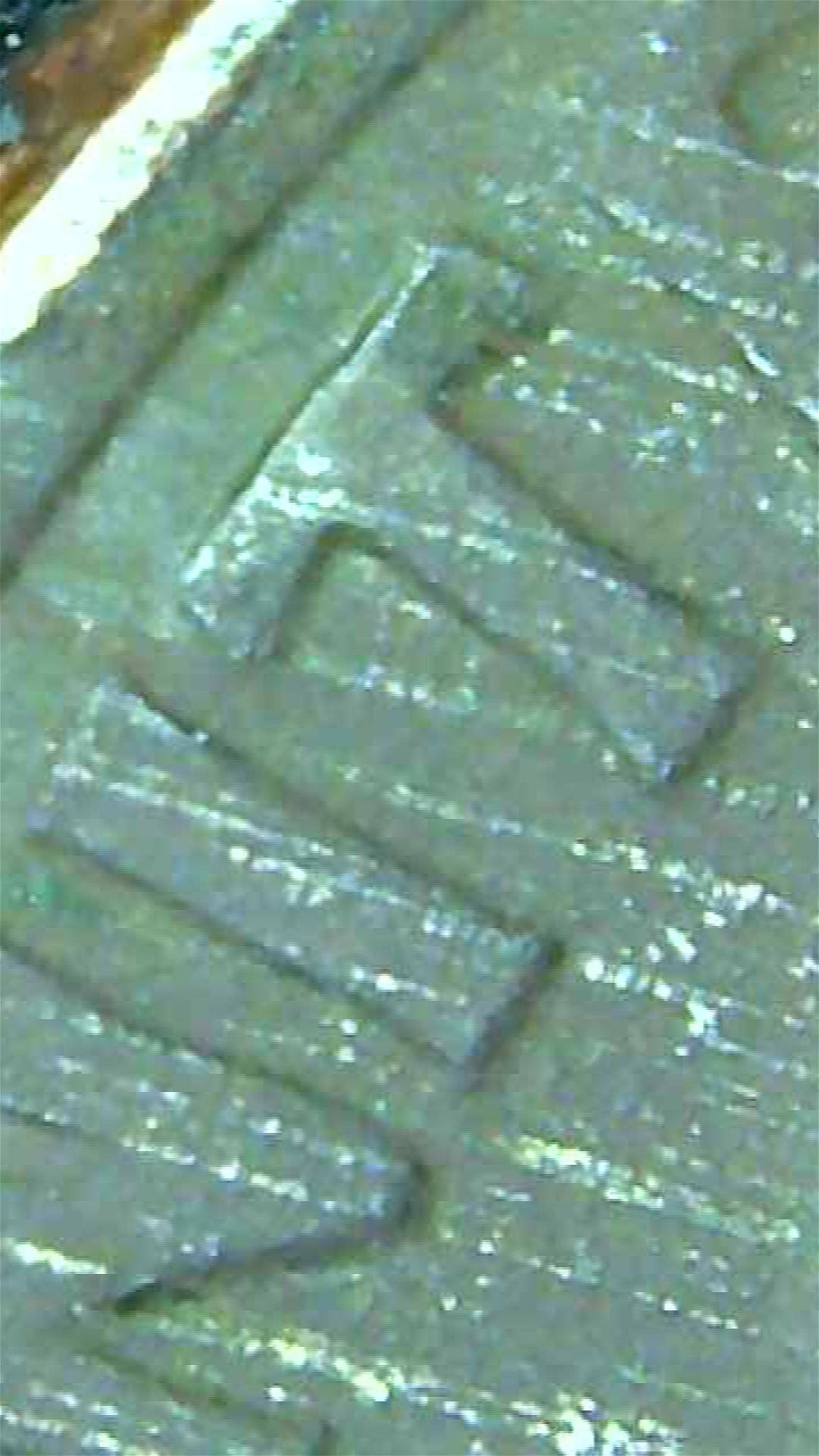 2006-D-Brown/Black-Dime