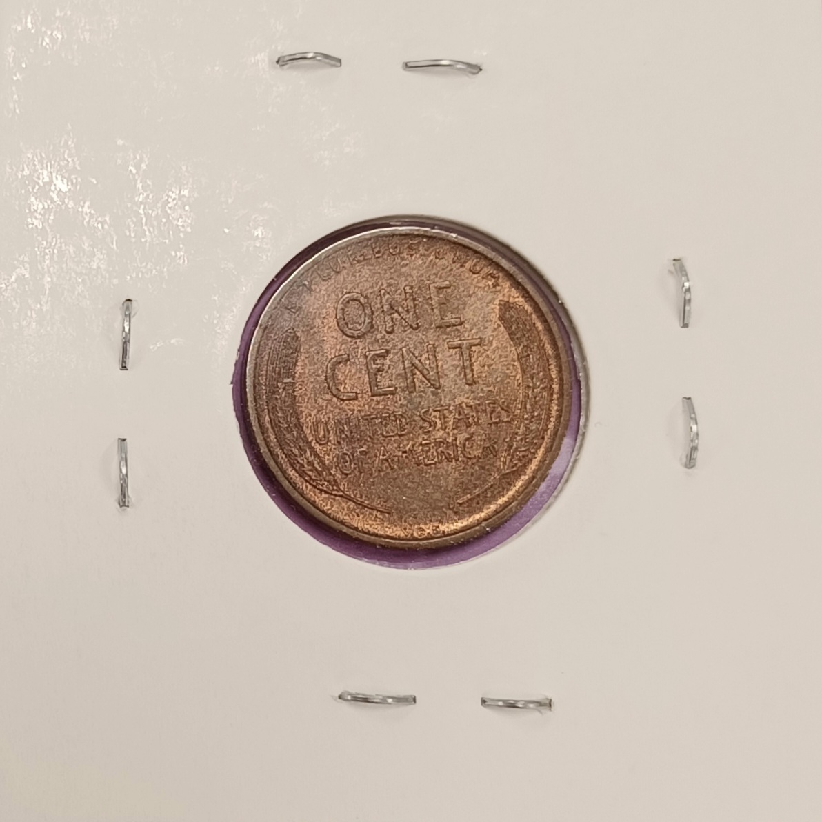 1909-VDB-1c-Matte-Proof?