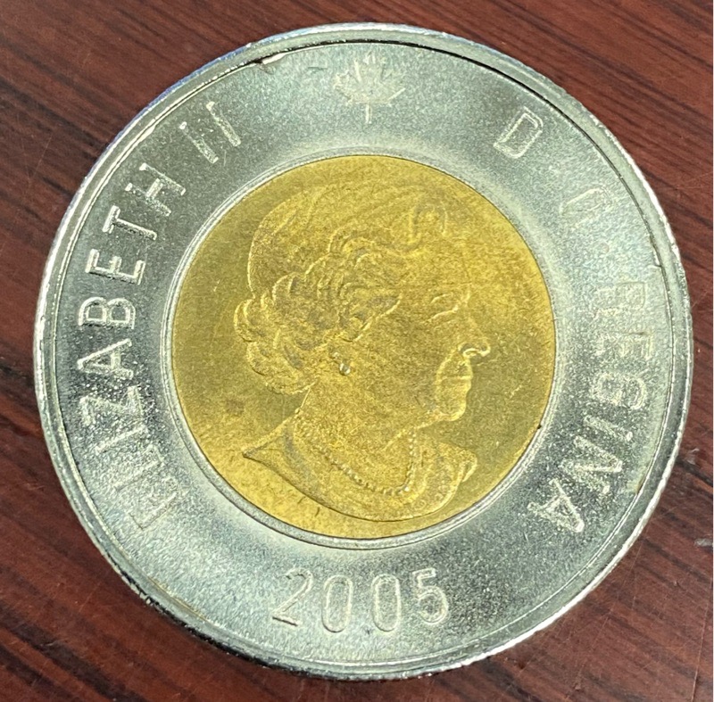 Counterfeit-Toonies-Are-Going-To-Be-A-Significant-Problem