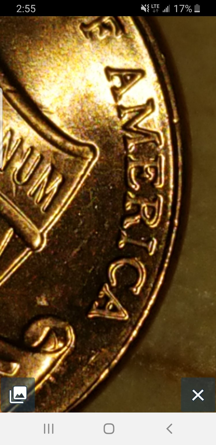 Wide-A-M-2021-Shield-Penny-Help.