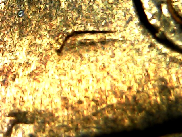 1958-D-Lincoln-Cent-Die-Clash-?