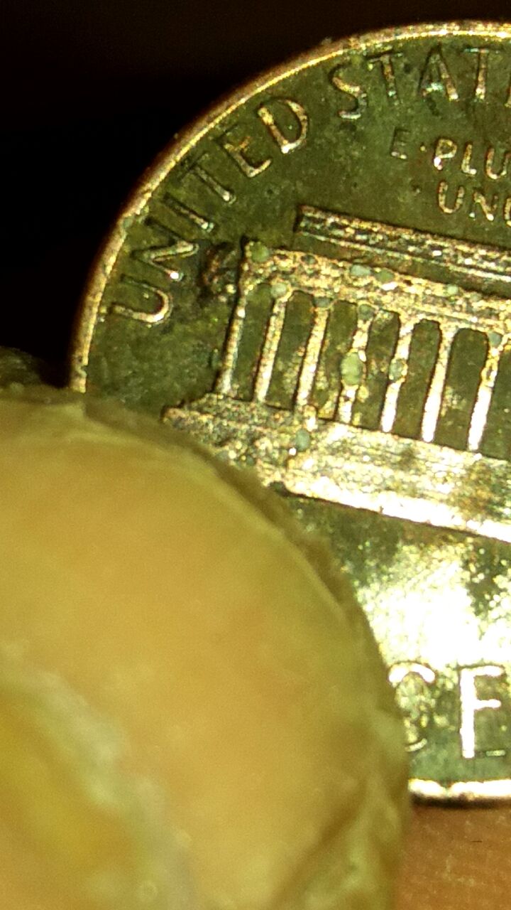 This-1986-D-Lincoln-Cent-May-Leave-You-Wondering.--Atleast-Me-Anyway.-Help-Please