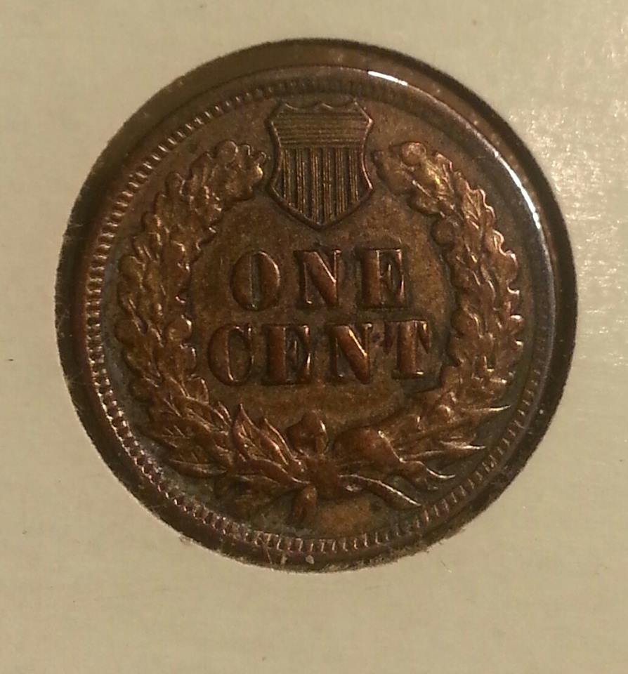 Interesting-Find-From-Circulation