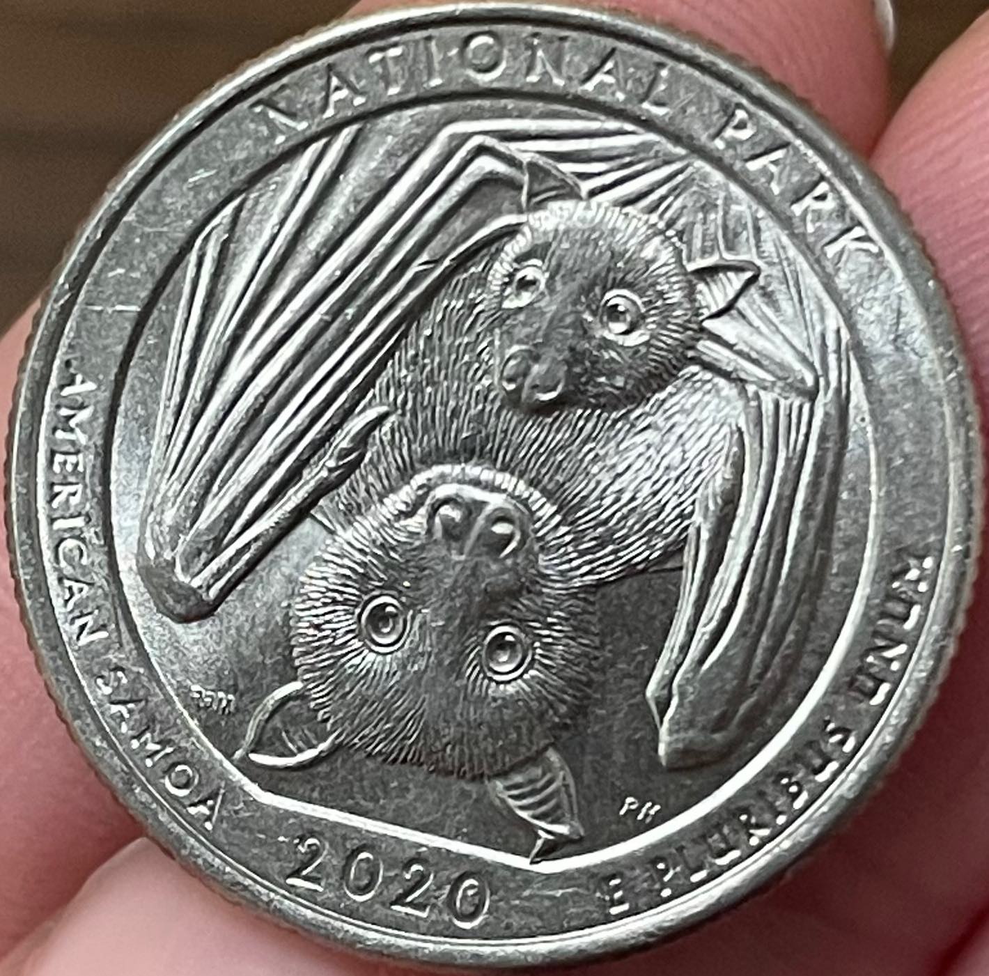 2020-P-Bat-Quarter--Die-Chip-Error?
