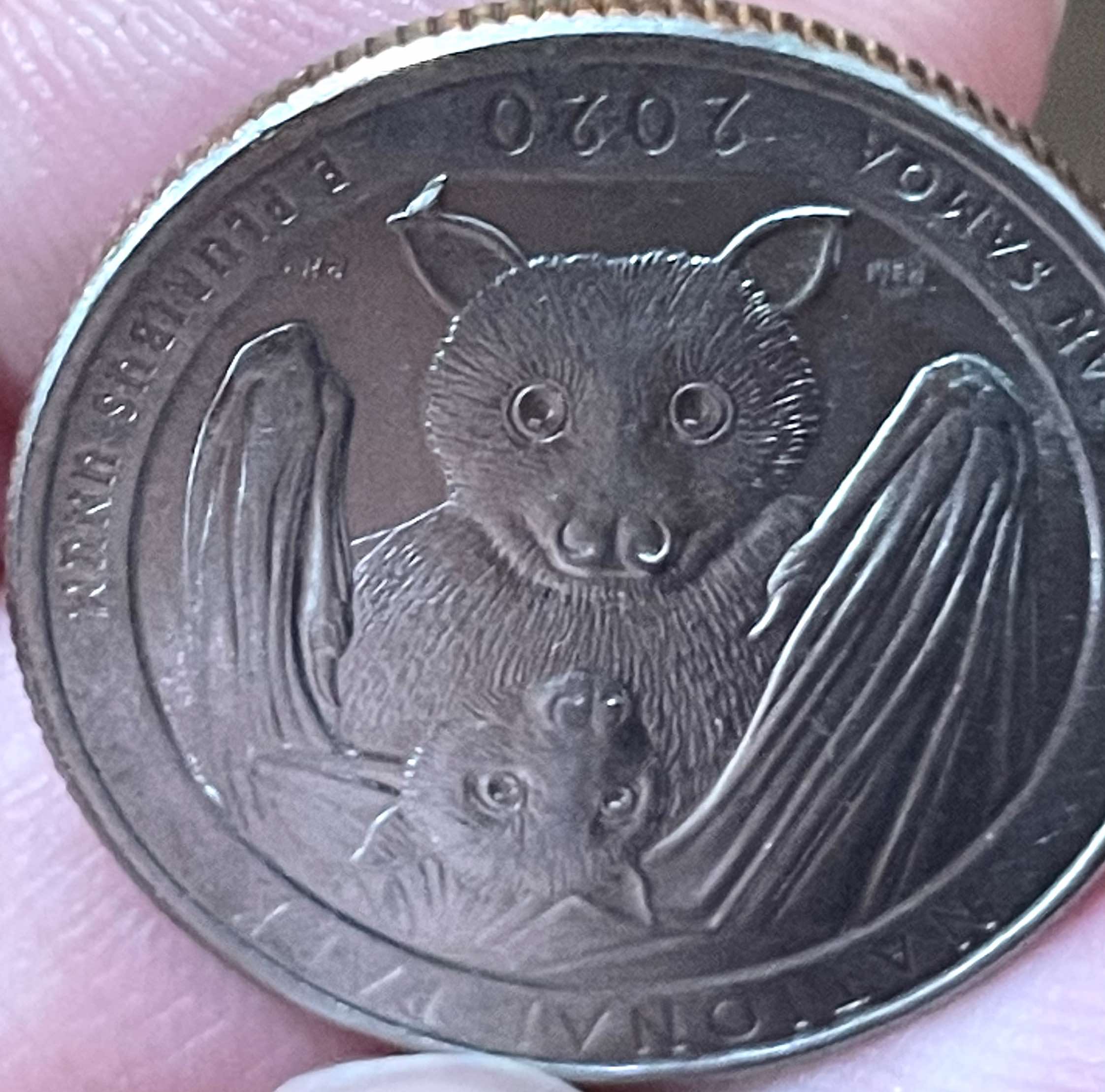 2020-P-Bat-Quarter--Die-Chip-Error?