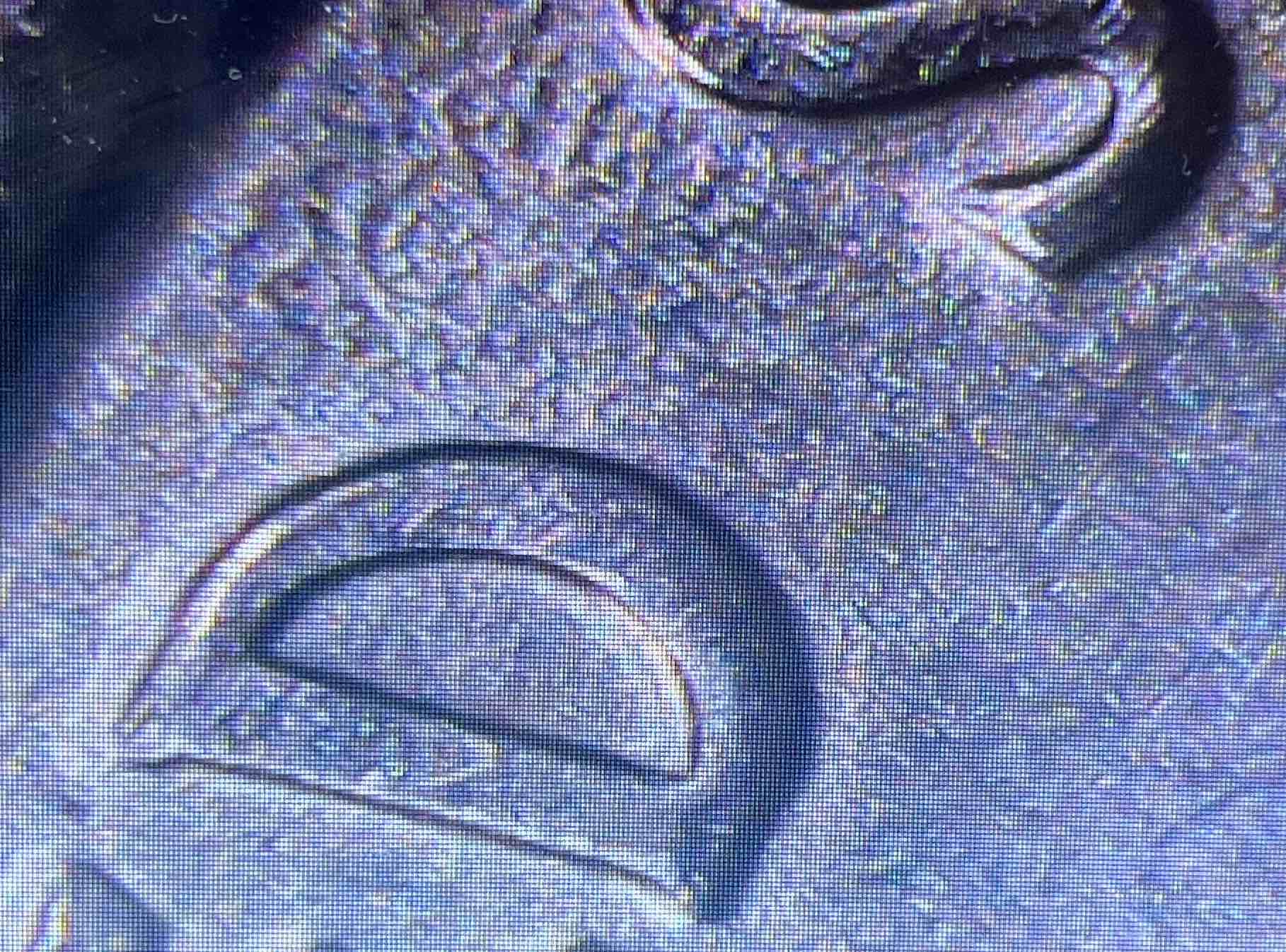 Help-With-Possible-DDO-On-2007-D-Wyoming-Quarter