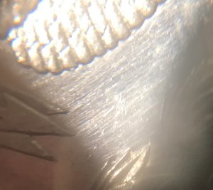 Help!-Polishing-Lines-Or-Scratches?-1884-O-Morgan-Dollar