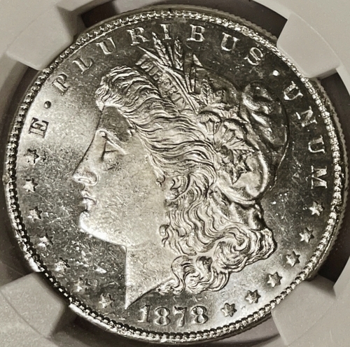 1878-S-Morgan:-Damage,-VAM---Or-Maybe-Both?