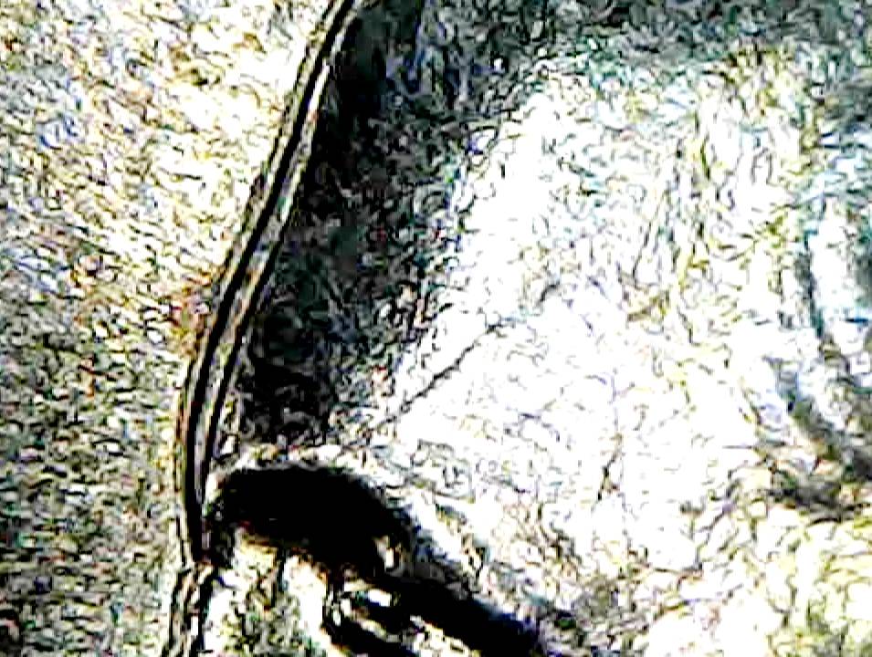 Doubled-Die-Or-Machine-Doubling?-1988-P-Washington-Quarter