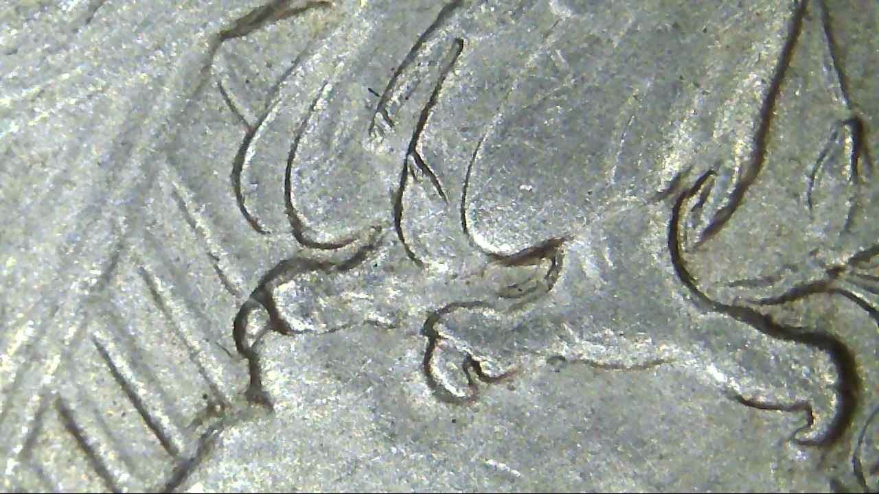 1922-P-Peace-Dollar-DDO-Pls-Help-ID-If-VAM