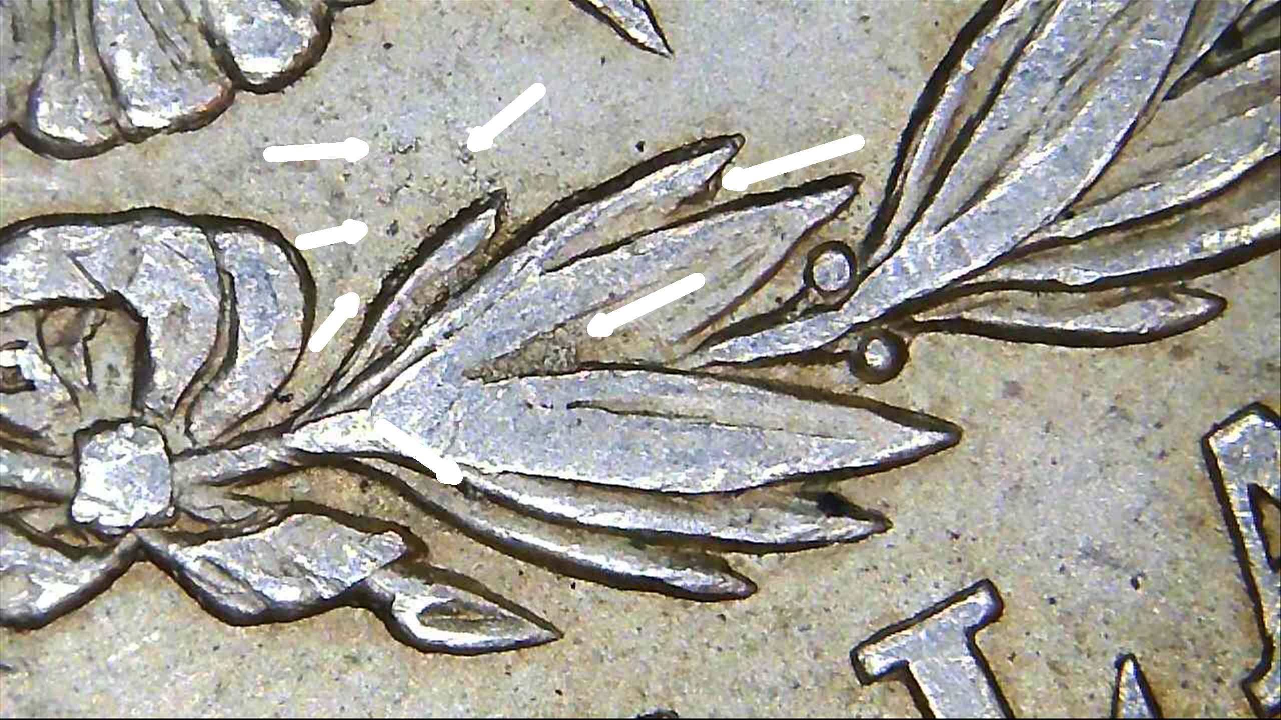 1921-P-Morgan-Dollar-VAM-3B1-Found