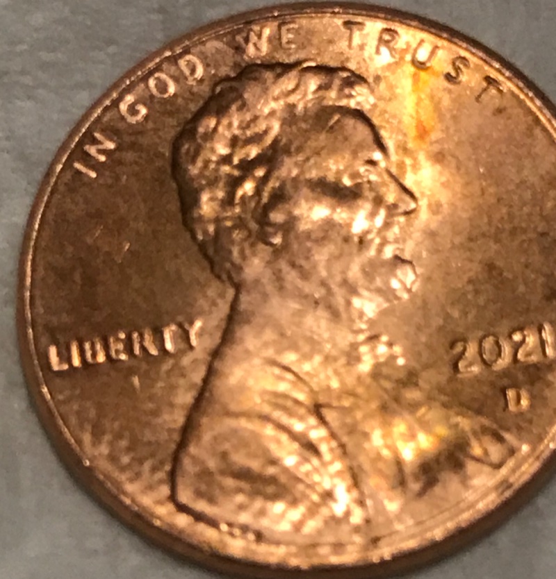 2021-Penny-Better-Pics-But-I-Did-Find-This-One-Finger-Feeder-Or-Die?don't-Believe-Roller