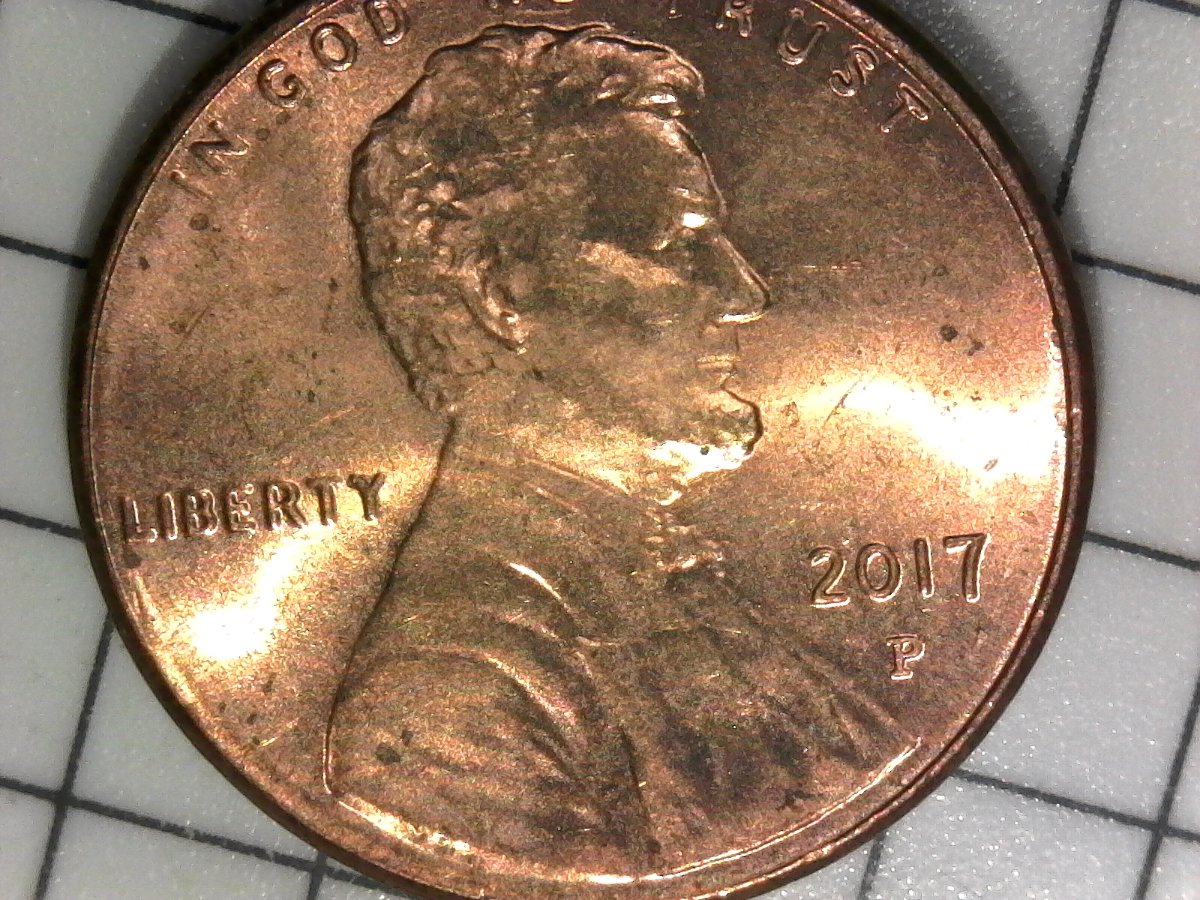 2017-LSC-Pointy-Ear?