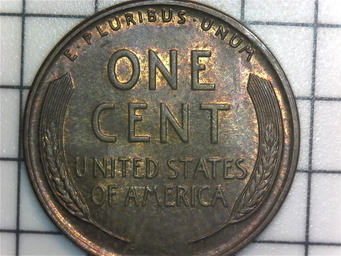 1941-LWC-Toned-Beauty