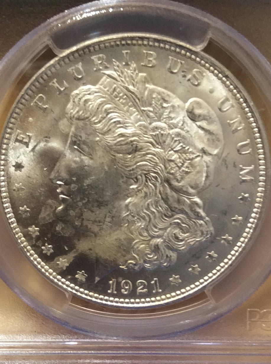 You-Vs.-PCGS:-Morgan-Dollar