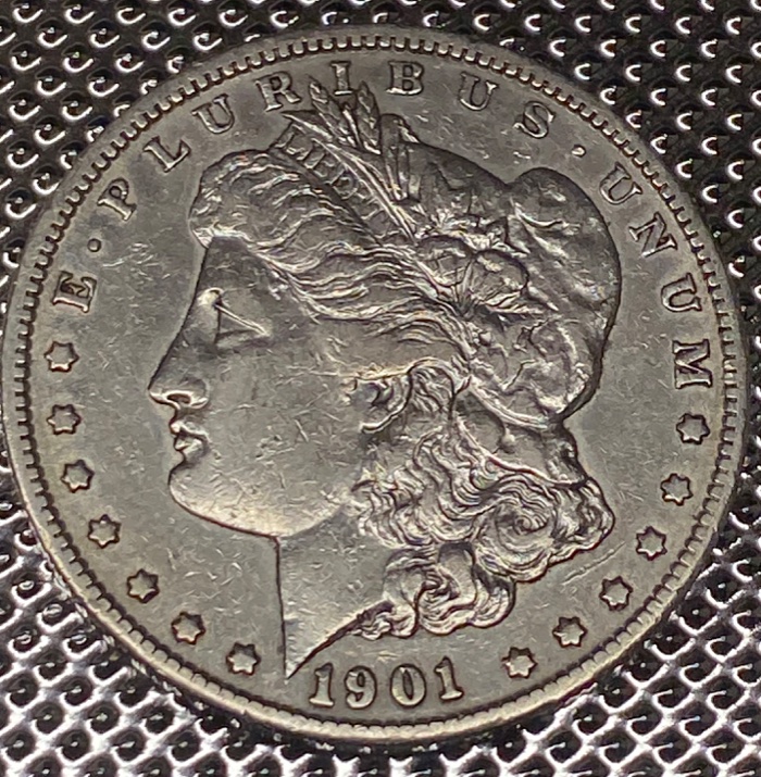 Opinion-On-Cleaned-1901-Morgan