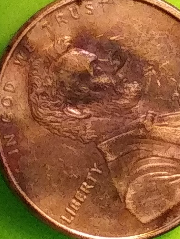 2000-D-LMC-/-Odd-Images?