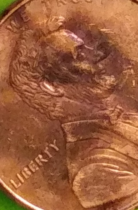 2000-D-LMC-/-Odd-Images?