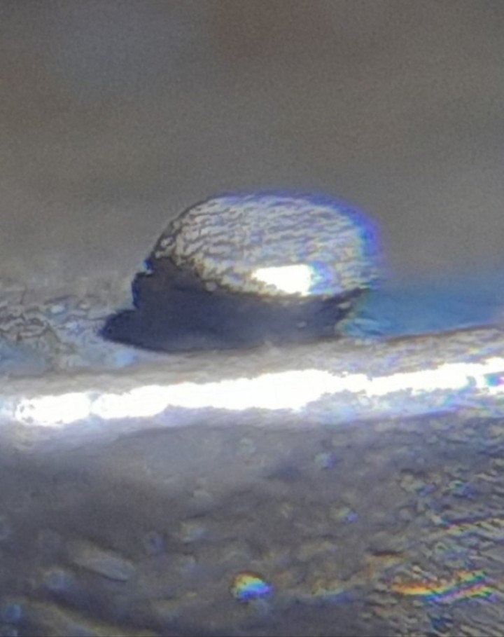 1976-Lincoln-Memorial-Cent/-Help-With-Identifying