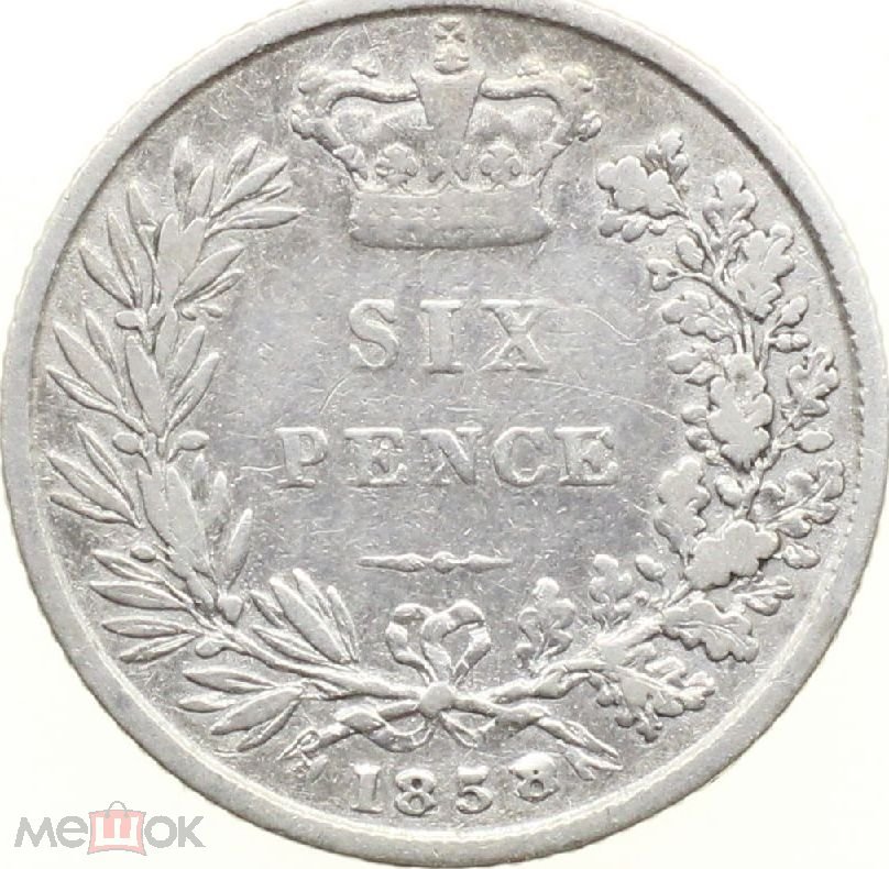 New-Coin-Purchases,-Slerk