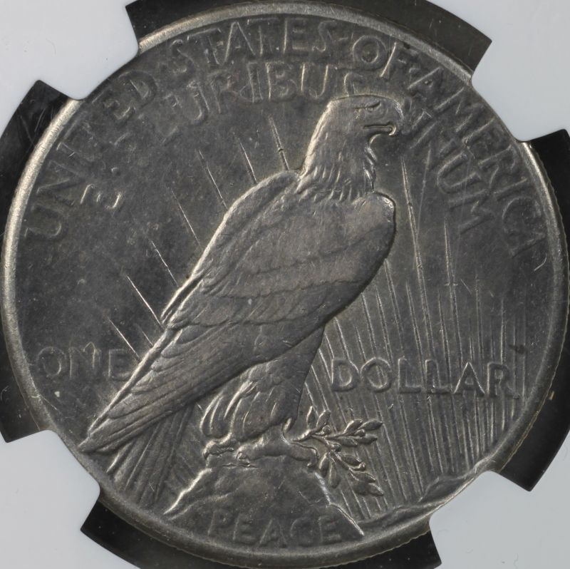 1928-Peace-Dollar-Up-For-Grading