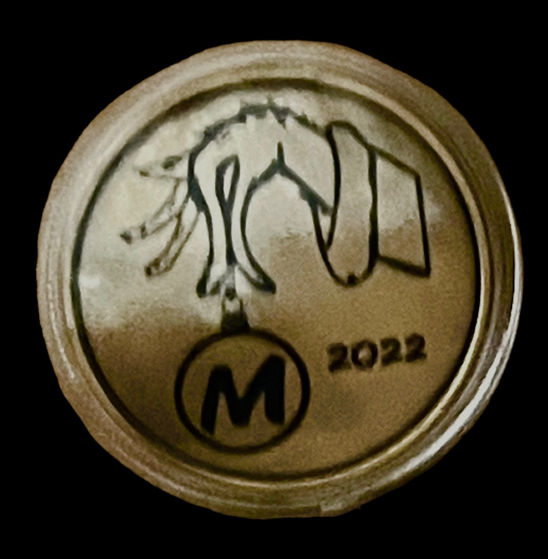 Novelty-Coins-Picture-Experiment