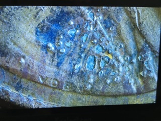 2002-D-Penny,-Looks-Like-It-Has-Chicken-Pox,-Was-This-Acid?