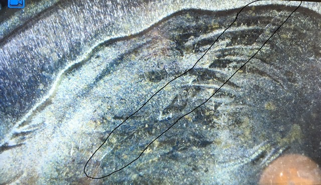 1955-Dime,-Unc.,-Unknown-Line-Through-Hair-Field?