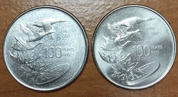 Anyone-Know-What-These-RCM-Tokens-Are?