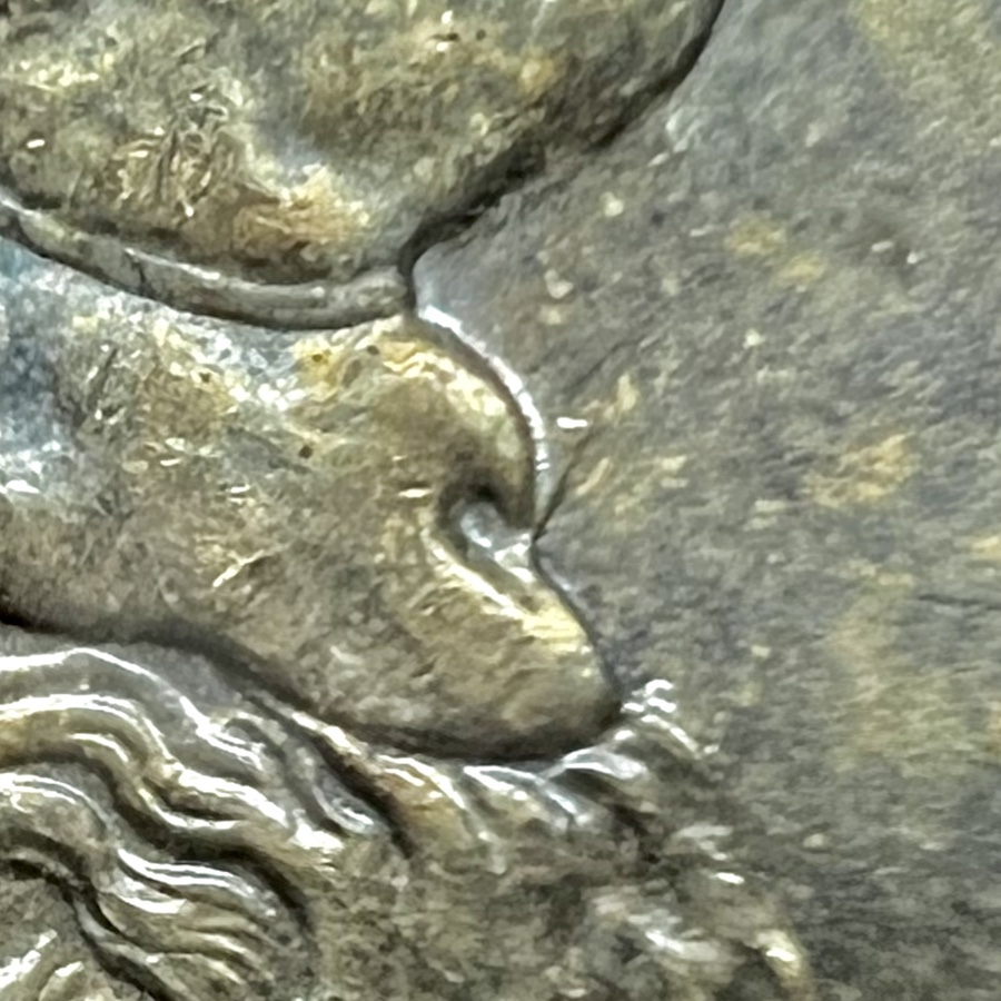 1887-Morgan-Dollar-VAM-Question.