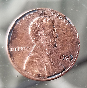 1993-LMC.-Is-This-Just-Rotting-Or-Is-It-Something-Unusual?