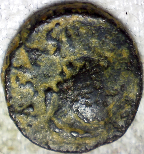 Ostrogoth-King-Totila/Baduila-2.5-Nummia