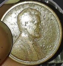 I-Found-This-Wheat-Penny!