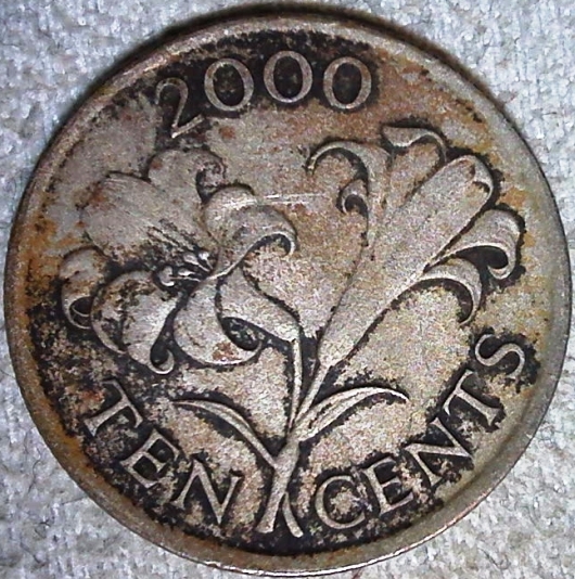 Pirate-Treasure-Just-Found-Off-The-Coast-Of-Belize