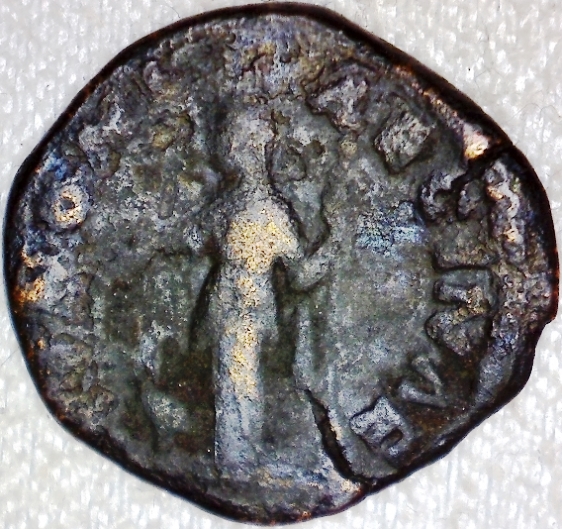 A-Compendium-Of-Numismatic-Displays-In-Museums-Around-The-World-Evergreen
