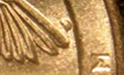 2018-P-Quarter,-Cumberland-Island-Np