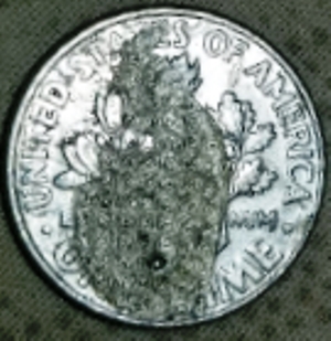 1998-F-Dime-Back-Error