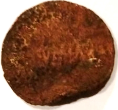 What-On-Earth-Have-I-Found?