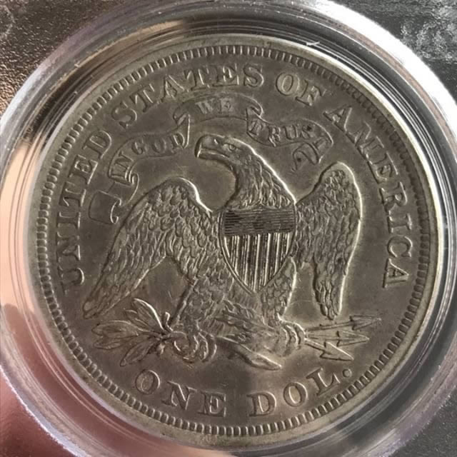 Seated-$1-Coin-Grade-Opinions-You-Vs-TPG