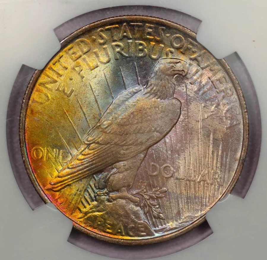 1923-Peace-Dollar-For-Grading