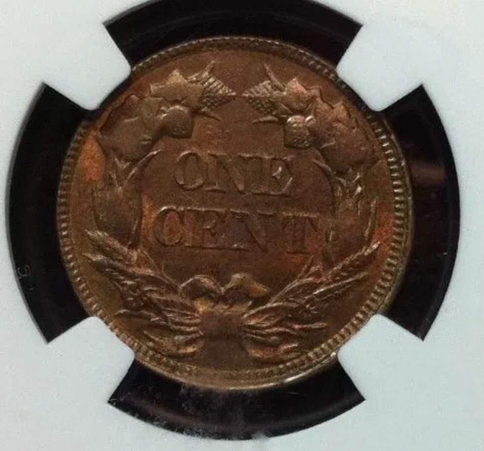 1857-Flying-Eagle-Cent-For-Grading