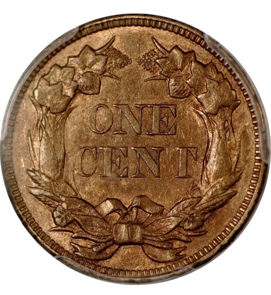 Two-Flying-Eagle-Cents-You-Vs-TPGs