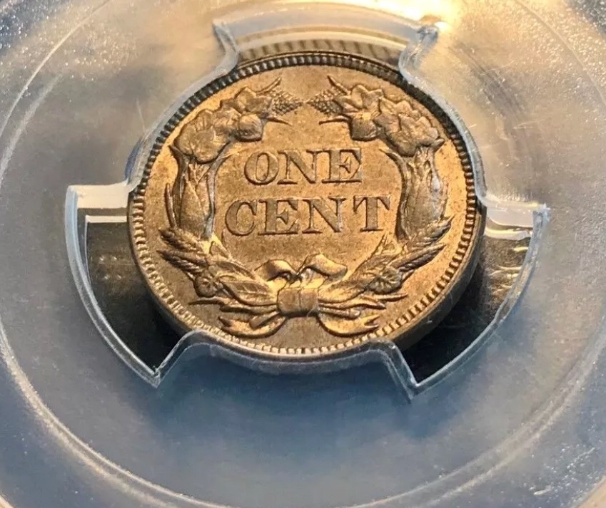1857-Flying-Eagle-You-Vs-PCGS