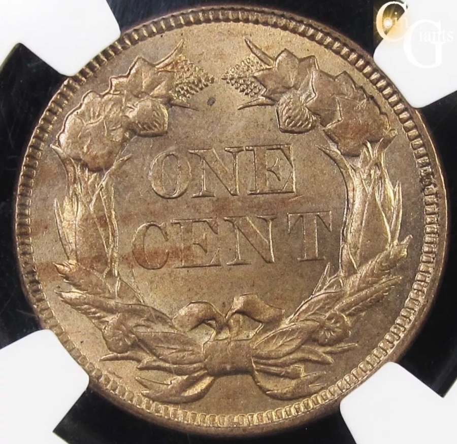 1857-Flying-Eagle-Cent-You-Vs-NGC