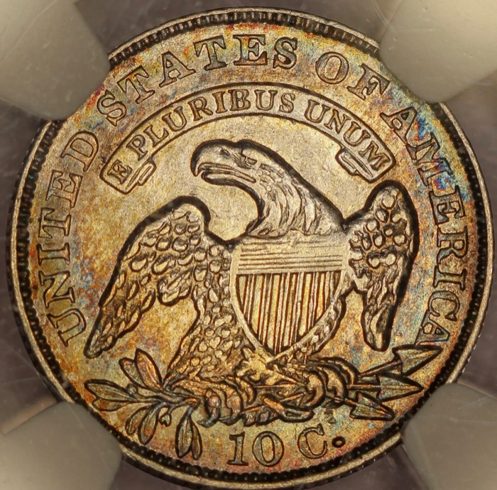 Capped-Bust-Dime-You-Vs-NGC