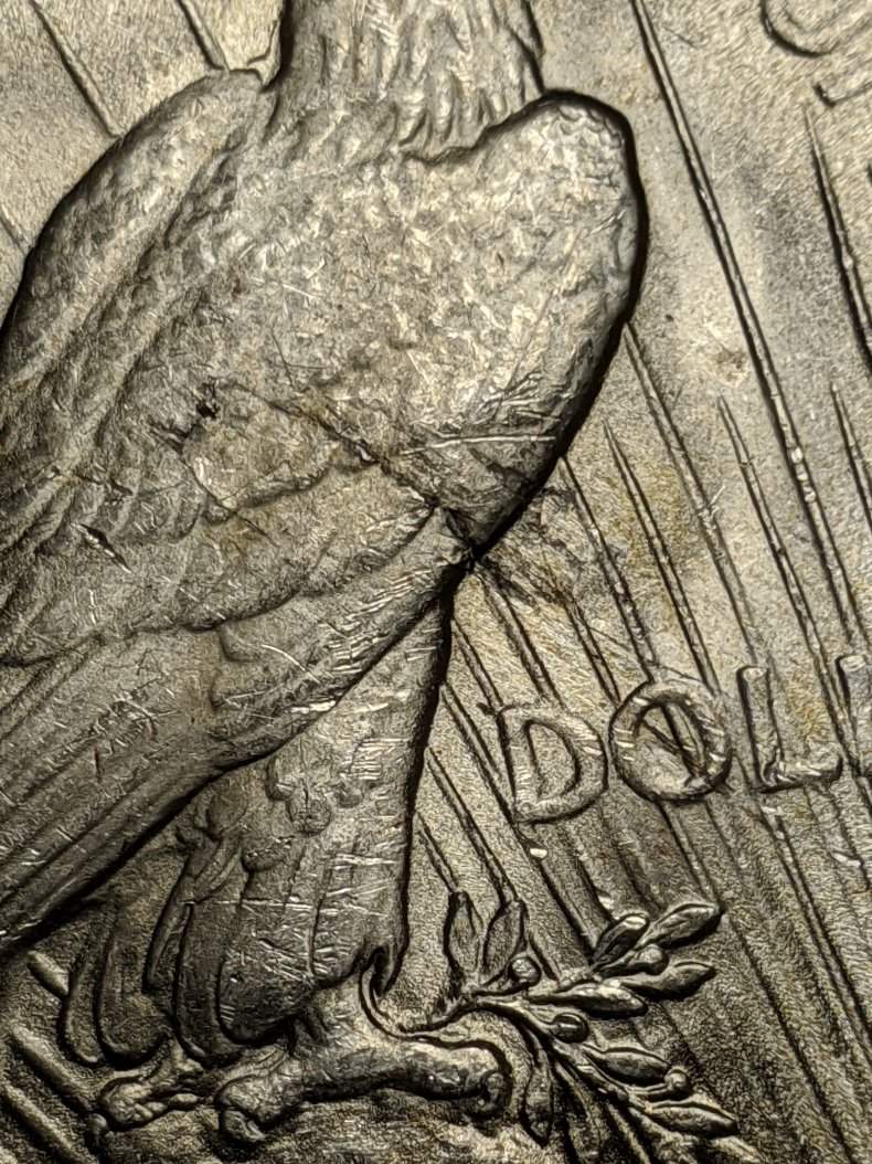 1923-Peace-Dollar-Lamination?