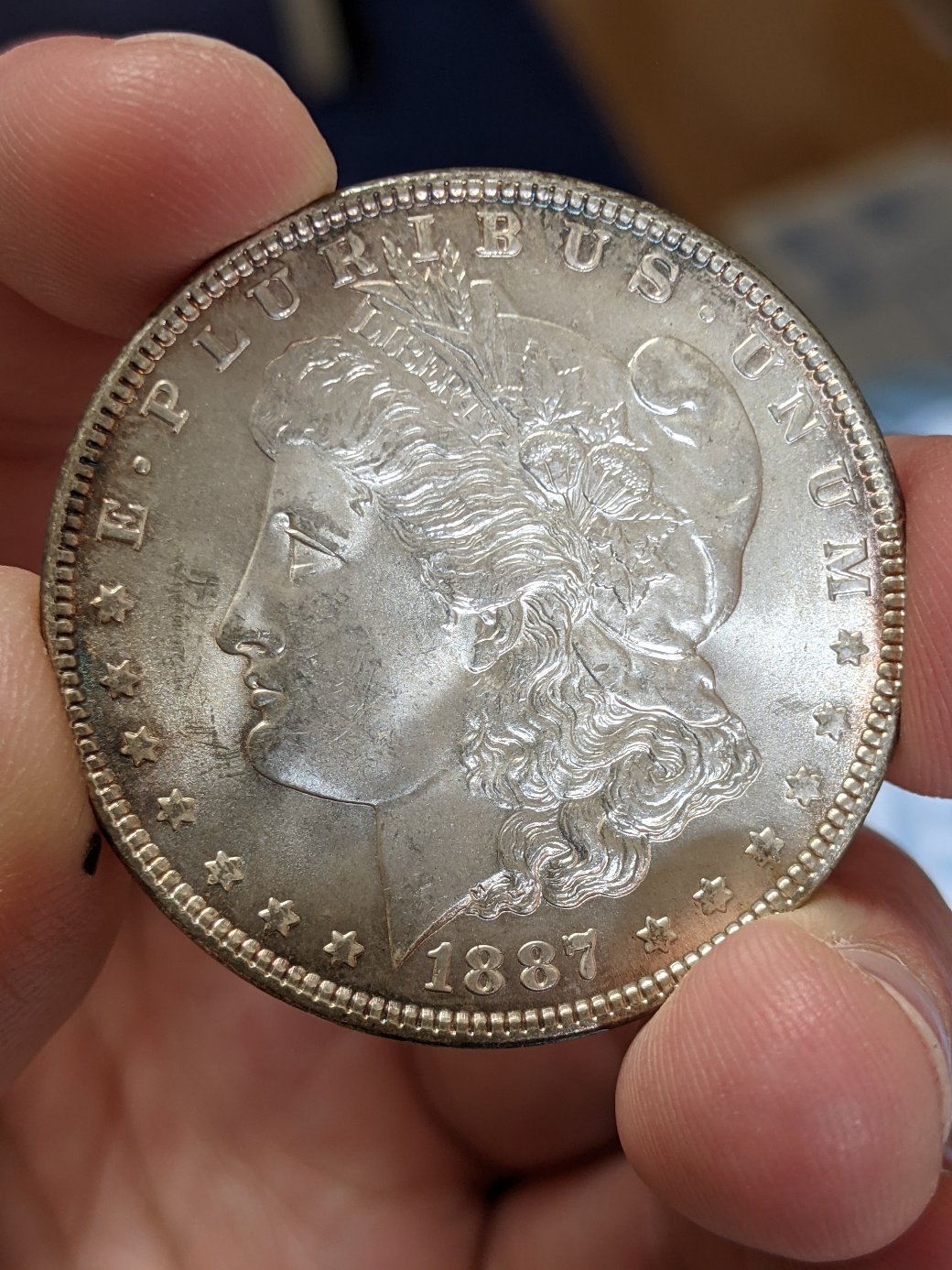 1887-Morgan-For-Grading