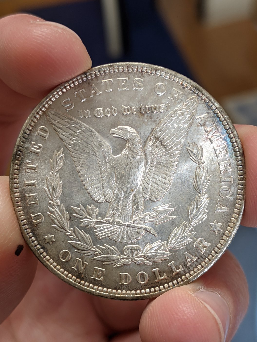 1887-Morgan-For-Grading