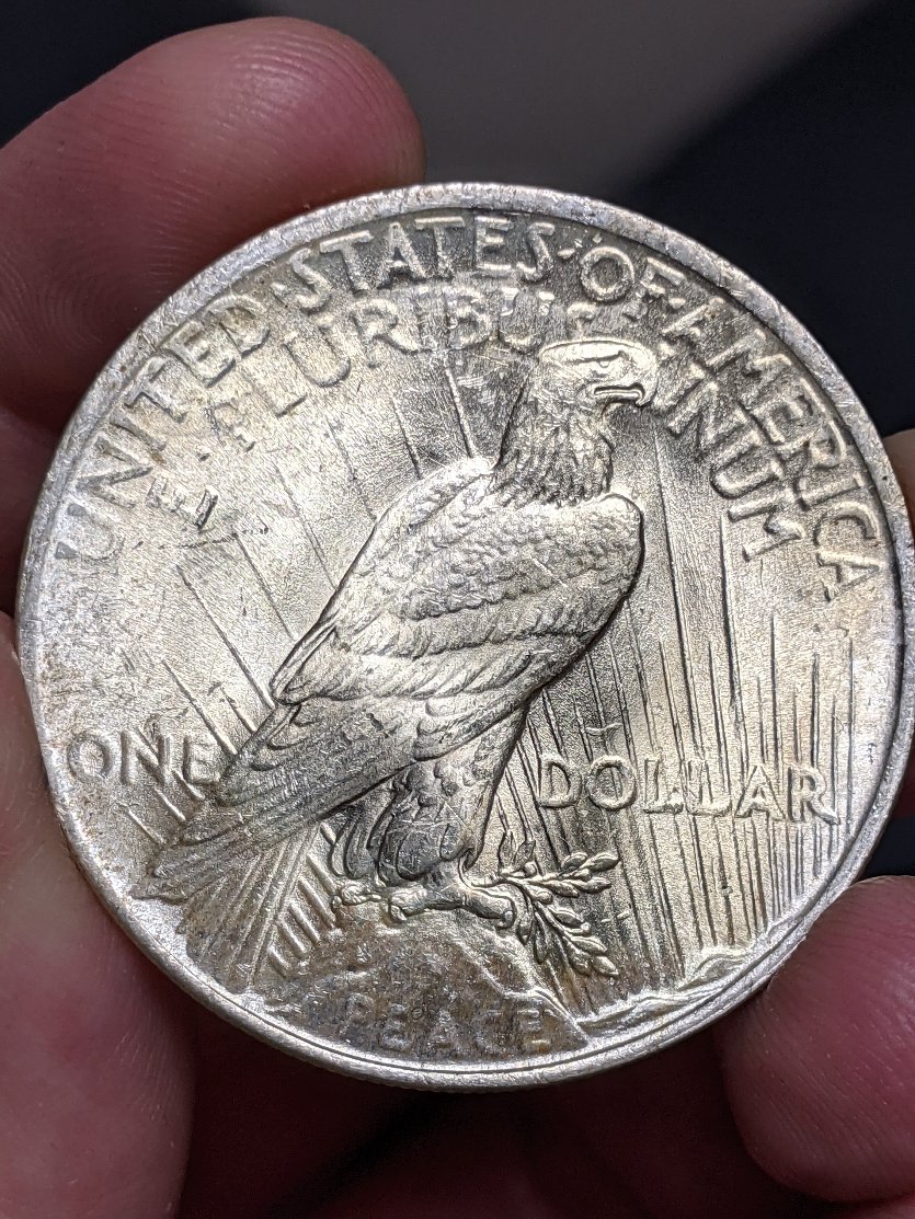 1923-Peace-VAM-1Ab-Extra-Hair