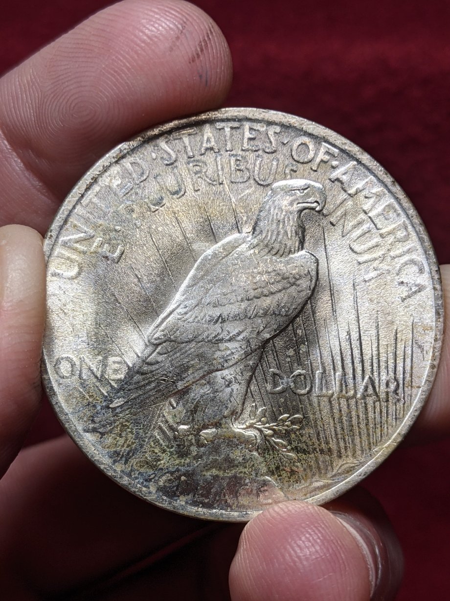 1923-Peace-Dollar-For-Grading
